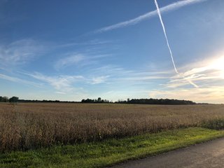 Property photo 65 - MAJOR LAND AUCTION - 1,085+/- ACRES IN 24 TRACTS IN HENRY & WAYNE COUNTIES, INDIANA